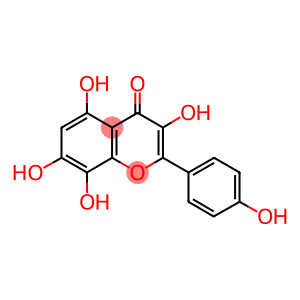 3,5,7,8,4'-PENTAHYDROXYFLAVONE