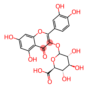 QUERCETIN-3-GLUCURONIDE