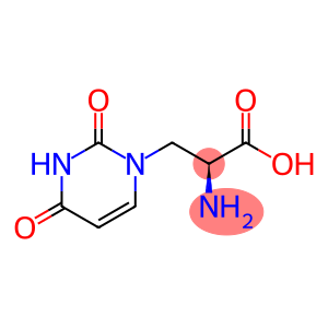 (RS)-WILLARDIINE