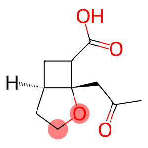 (1R,5R)-1-(2-Oxopropyl)-2-oxabicyclo[3.2.0]heptane-7-carboxylic acid