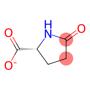 (2R)-5-Oxopyrrolidine-2-carboxylic acid anion