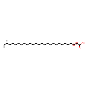 (R)-26-Methyloctacosanoic acid