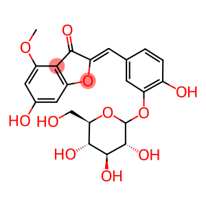 RENGASIN-3'-O-GLUCOSIDE