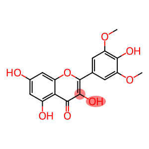 SYRINGETIN(SECONDARY STANDARD)