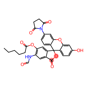 succinimido 6-(fluorescein-5-carboxamido)hexanoate