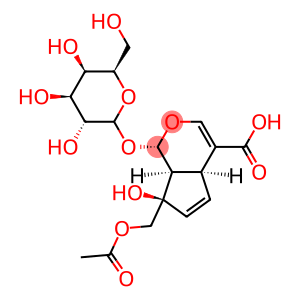 (1S,2S,6S,9R)-9-(acetyloxymethyl)-9-hydroxy-2-[(2S,3R,4S,5R,6R)-3,4,5-trihydroxy-6-(hydroxymethyl)oxan-2-yl]oxy-3-oxabicyclo[4.3.0]nona-4,7-diene-5-carboxylic acid