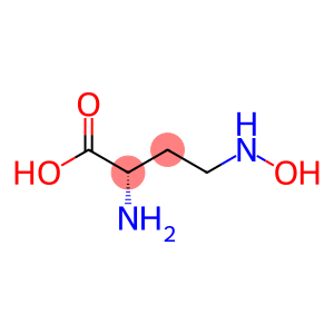 (S)-4-(Hydroxyamino)-2-aminobutyric acid