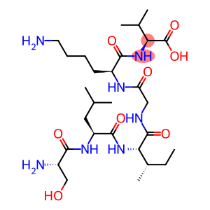 seryl-leucyl-isoleucyl--glycyl-lysyl-valine