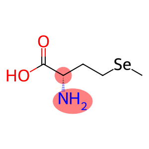 Selenomethionine enriched with 76Se