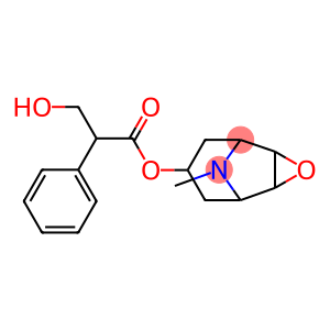 SCOPOLAMINE, 98%