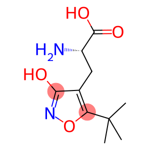 (S)-ALPHA-AMINO-3-HYDROXY-5-T-BUTYL-4-ISOXAZOLEPROPIONIC ACID