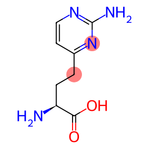 (S)-2-AMINO-4-[(2-AMINO)PYRIMIDINYL]BUTANOIC ACID