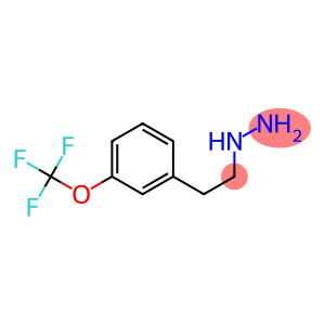 1-(3-(trifluoromethoxy)phenethyl)hydrazine