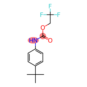 2,2,2-trifluoroethyl 4-tert-butylphenylcarbamate