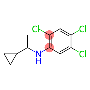 2,4,5-trichloro-N-(1-cyclopropylethyl)aniline