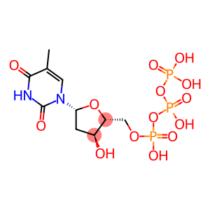 THYMIDINETRIPHOSPHATE