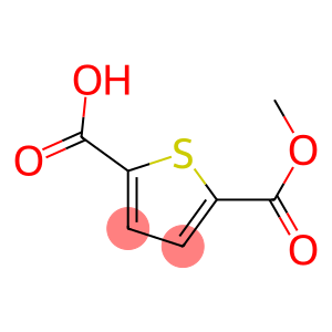 噻吩-2,5-二甲酸单酯