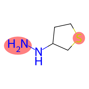 thiolan-3-ylhydrazine