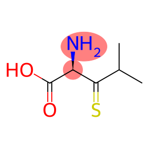 3-Thiolleucine