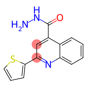 2-THIEN-2-YLQUINOLINE-4-CARBOHYDRAZIDE