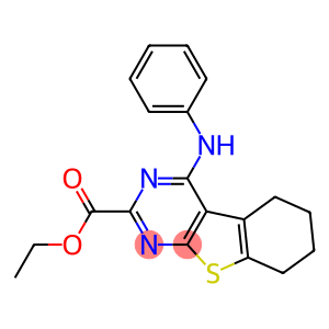 5,6,7,8-Tetrahydro-4-(phenylamino)[1]benzothieno[2,3-d]pyrimidine-2-carboxylic acid ethyl ester