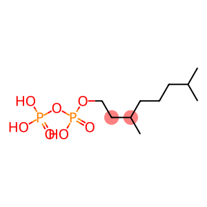 TETRAHYDROGERANIOLPYROPHOSPHATE