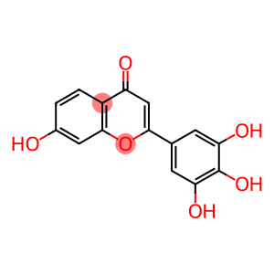 7,3',4',5'-TETRAHYDROXYFLAVONE