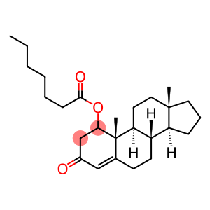 1-睾酮庚酸酯