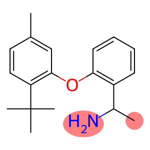 1-[2-(2-tert-butyl-5-methylphenoxy)phenyl]ethan-1-amine