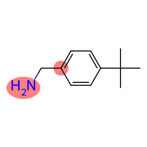 1-(4-tert-butylphenyl)methanamine