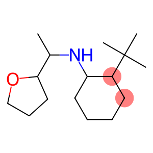 2-tert-butyl-N-[1-(oxolan-2-yl)ethyl]cyclohexan-1-amine