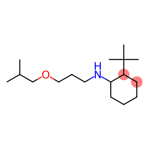 2-tert-butyl-N-[3-(2-methylpropoxy)propyl]cyclohexan-1-amine