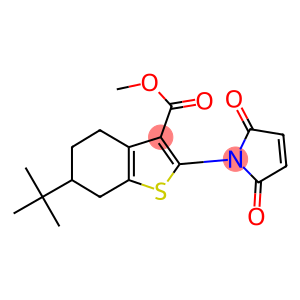 6-TERT-BUTYL-2-(2,5-DIOXO-2,5-DIHYDRO-PYRROL-1-YL)-4,5,6,7-TETRAHYDRO-BENZO[B]THIOPHENE-3-CARBOXYLIC ACID METHYL ESTER