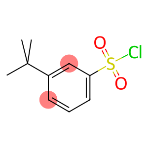 3-TERT-BUTYL BENZENESULFONYL CHLORIDE