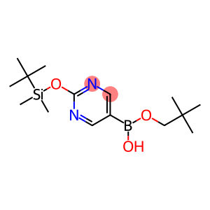 2-(TERT-BUTYLDIMETHYLSILYLOXY)PYRIMIDINE-5-BORONIC ACID NEOPENTYL ESTER