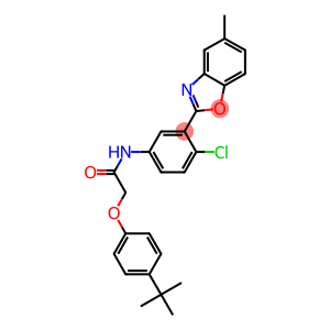 2-(4-TERT-BUTYLPHENOXY)-N-(4-CHLORO-3-(5-METHYLBENZO[D]OXAZOL-2-YL)PHENYL)ACETAMIDE