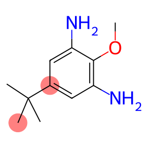 4-tert-Butyl-2,6-diaminoanisole