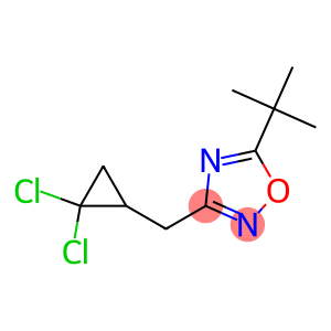 5-(tert-butyl)-3-[(2,2-dichlorocyclopropyl)methyl]-1,2,4-oxadiazole