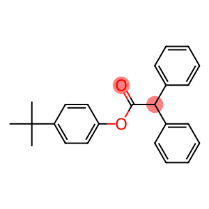 4-(tert-butyl)phenyl 2,2-diphenylacetate