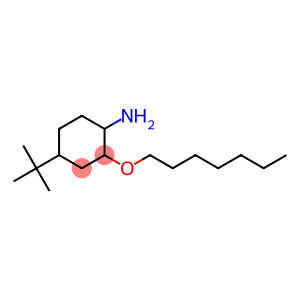 4-tert-butyl-2-(heptyloxy)cyclohexan-1-amine