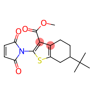 6- TERT -BUTYL-2-(2,5-DIOXO-2,5-DIHYDRO-PYRROL-1-YL)-4,5,6,7-TETRAHYDRO-BENZO[ B ]THIOPHENE-3-CARBOXYLIC ACID METHYL ESTER