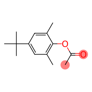 4-TERT-BUTYL-2,6-DIMETHYLPHENYL ACETIC ACID