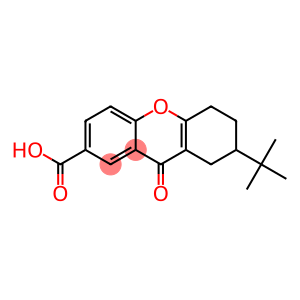 7-tert-Butyl-5,6,7,8-tetrahydro-9-oxo-9H-xanthene-2-carboxylic acid