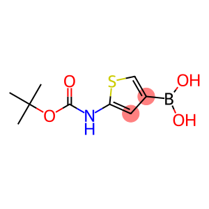 5-(tert-butoxycarbonylamino)thiophen-3-ylboronic acid