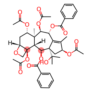 TAXAYUNTIN C