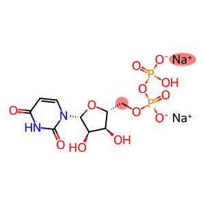 Uridine diphosphate disodium salt