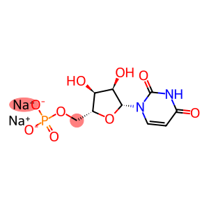 5'-URIDINEMONOPHOSPHATEDISODIUMSALT