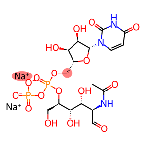 Uridine 5-diphospho-N-acetylglucosamine, disodium salt