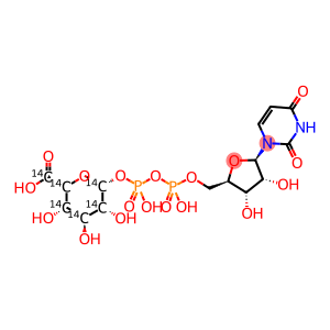 URIDINE DIPHOSPHATE GLUCURONIC ACID, [GLUCURONYL-14C(U)]