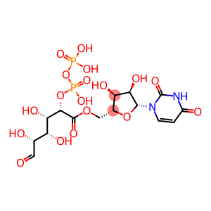 Uridine 5-diphosphoglucuronate